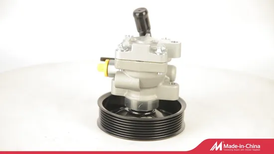 Big Discount Aelwen Auto Parts Car Power Steering Pump Hydraulic Steering Pump Used for Hyundai Toyota Opel Honda FIAT Ford Mazda Nissan VW Volvo Peugeot