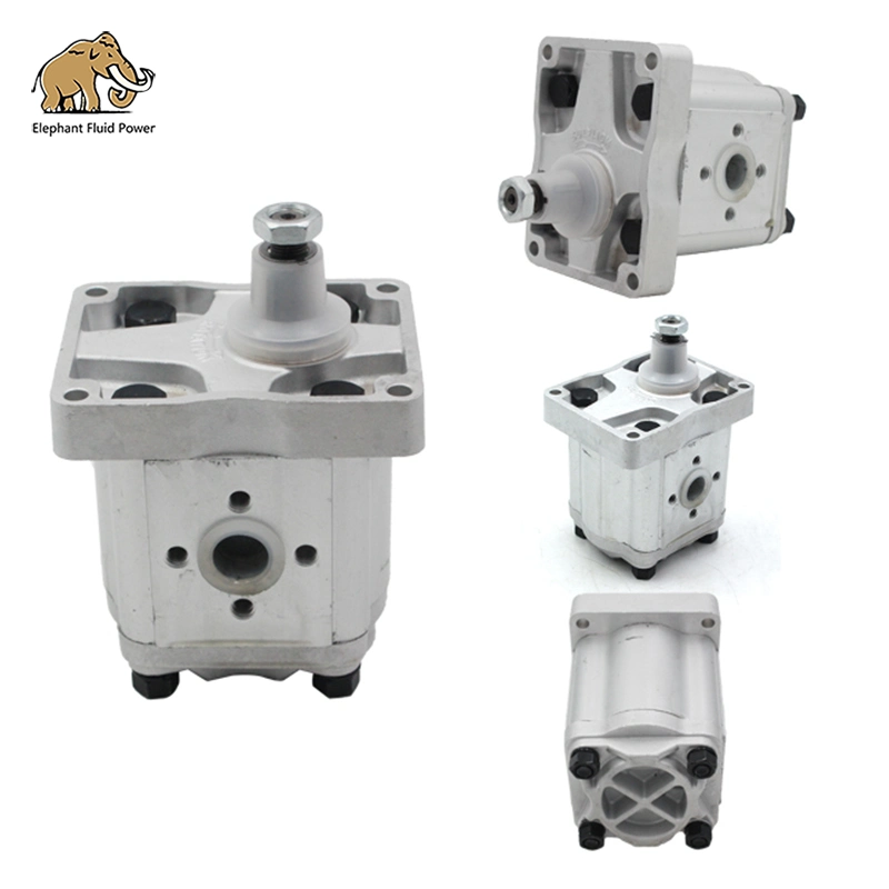 OEM 5129488/5179714, A42XP4ms (19 CC) Hydraulic Gear Pump Tractor New Pump Spare Parts for Agricultural Machinery