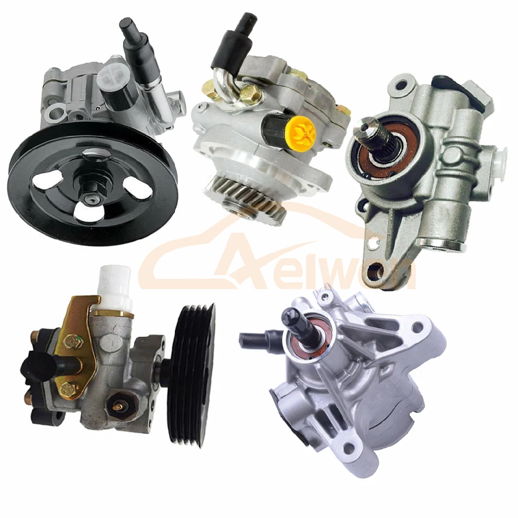Aelwen Big Discount Auto Car Power Steering Pump Used for BMW Benz Chevrolet VW FIAT Peugeot Audi Renault Ford Citroen Iveco Nissan Toyota Buick Opel