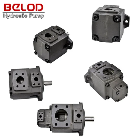 PV2r Yuken Type Series Double Vane Pump Oil Pump for Hydraulic System