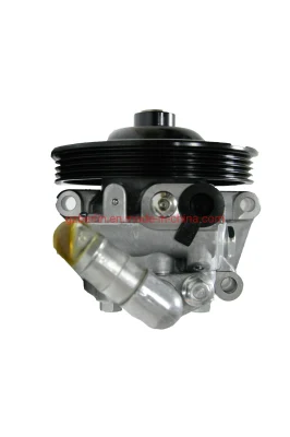 Car Accessories Power Steering Pump for Ford Edge 2.0t/3.5/Mondeo 2.0t CT4z3a69613/CT4z3a69