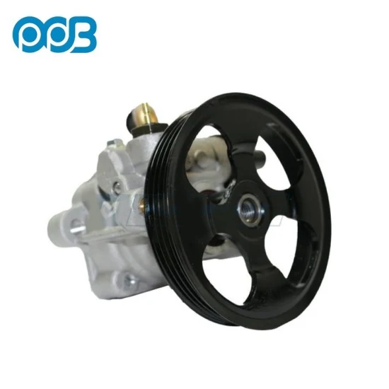 Hydraulic Power Steering Pump for Ford OEM 2L3z3a674aarm 2L3z3a674carm F65z3a674AA /F5RC3a674CB 3915088