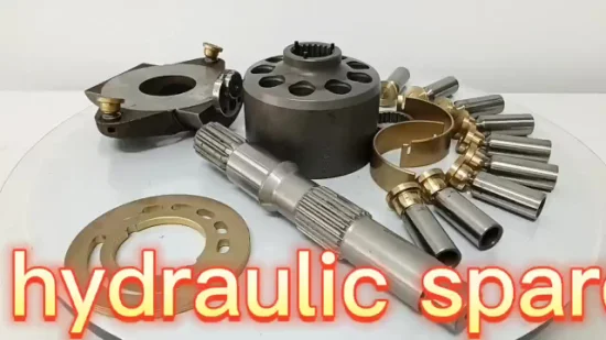 Replacement for Caterpillar Spare Parts for A8vo107 Hydraulic Pump China Supplier A8vo160, A8vo200